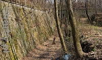Autor	Jacek Halicki; Wikimedia Commons; Creative Commons Uznanie autorstwa – Na tych samych warunkach 3.0 Polska.