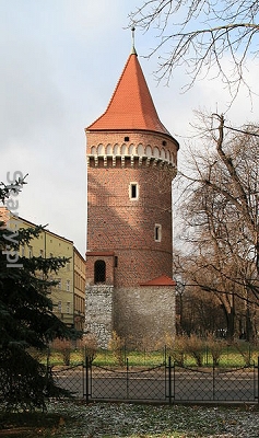 Autor 	ImreKiss; Wikimedia Commons; Creative Commons Uznanie autorstwa 3.0.