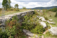 Autor 	Jakub Hałun; Wikimedia Commons; Creative Commons Uznanie autorstwa–na tych samych warunkach 3.0 niezlokalizowana, 2.5 zlokalizowana, 2.0 zlokalizowana oraz 1.0 zlokalizowana. 	
